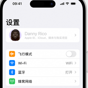 固原appleID维修服务iPhone设置中Apple ID显示为灰色无法使用