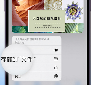 固原apple维修中心分享iPhone文件应用中存储和找到下载文件