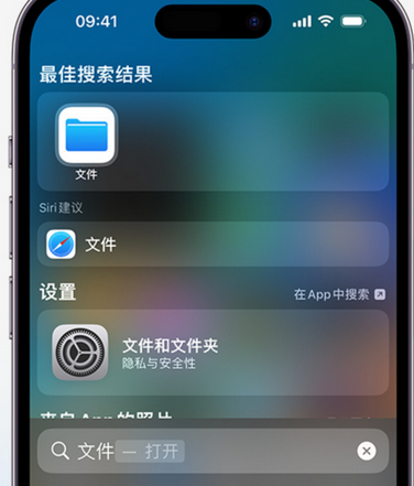 固原apple维修中心分享iPhone文件应用中存储和找到下载文件 