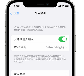 固原apple服务站点分享iPhone上个人热点丢失了怎么办 