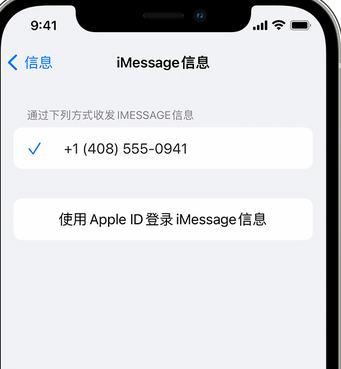 固原apple维修iPhone上无法正常发送iMessage信息 