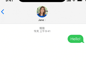 固原apple维修iPhone上无法正常发送iMessage信息