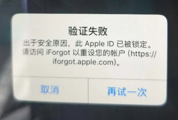 固原iPhone维修分享iPhone上正常登录或使用AppleID怎么办 