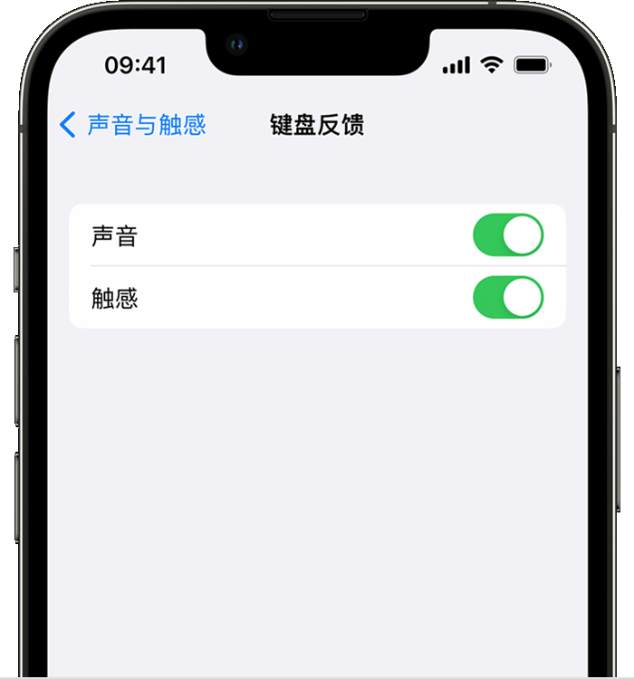 固原苹果14维修店分享如何在 iPhone 14 机型中使用触感键盘 