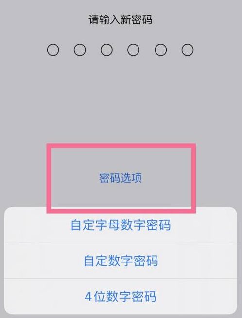 固原苹果14维修分享iPhone 14plus设置密码的方法 