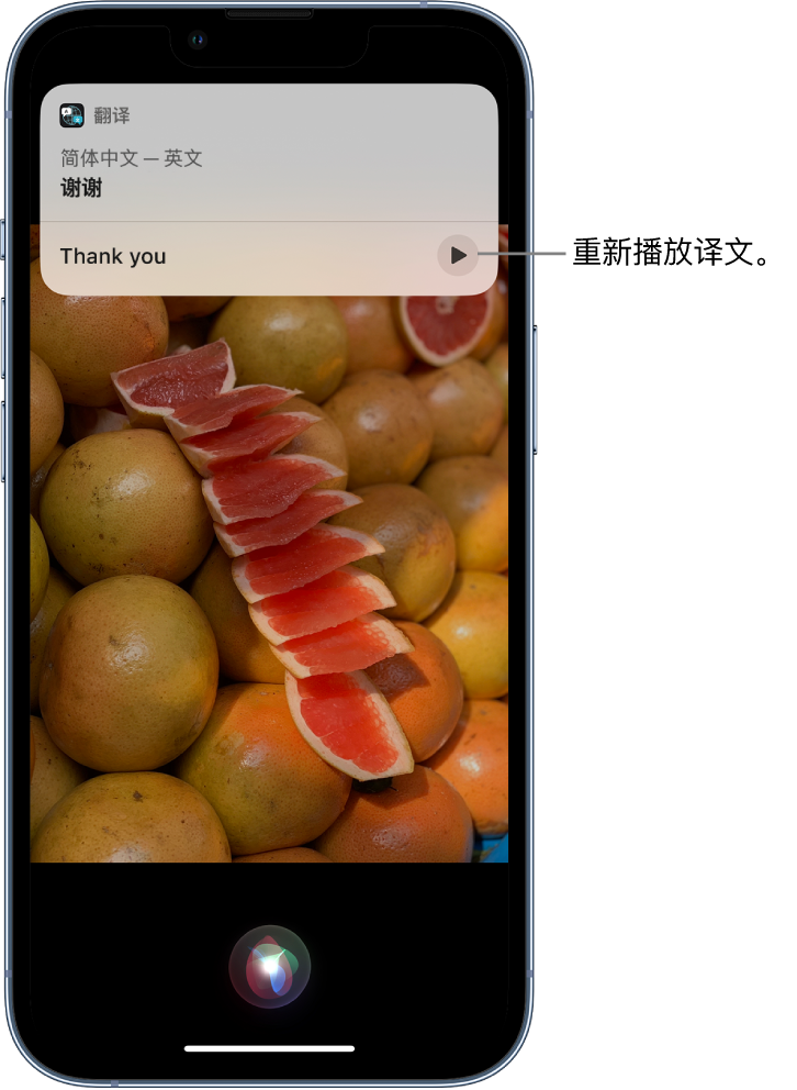 固原苹果14维修分享 iPhone 14 机型中使用 Siri：了解 Siri 能帮你做什么 