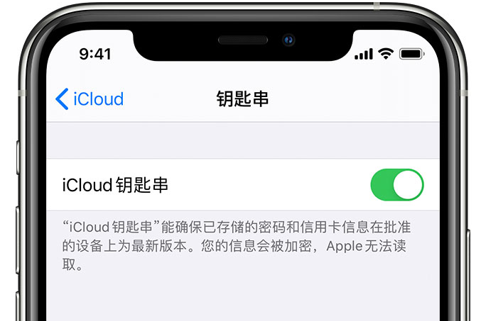 固原苹果手机维修分享在 iPhone 上开启 iCloud 钥匙串之后会储存哪些信息 