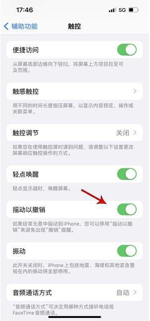 固原苹果手机维修分享iPhone手机如何设置摇一摇删除文字 