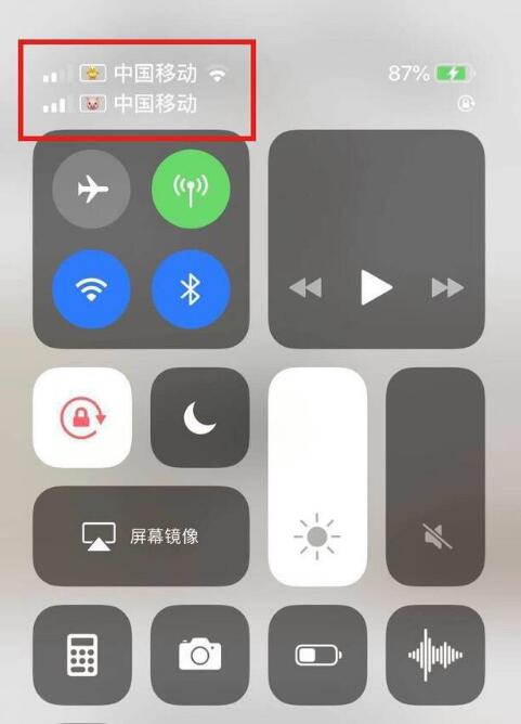 固原苹果手机维修分享为 iPhone 12 双卡设置标签 
